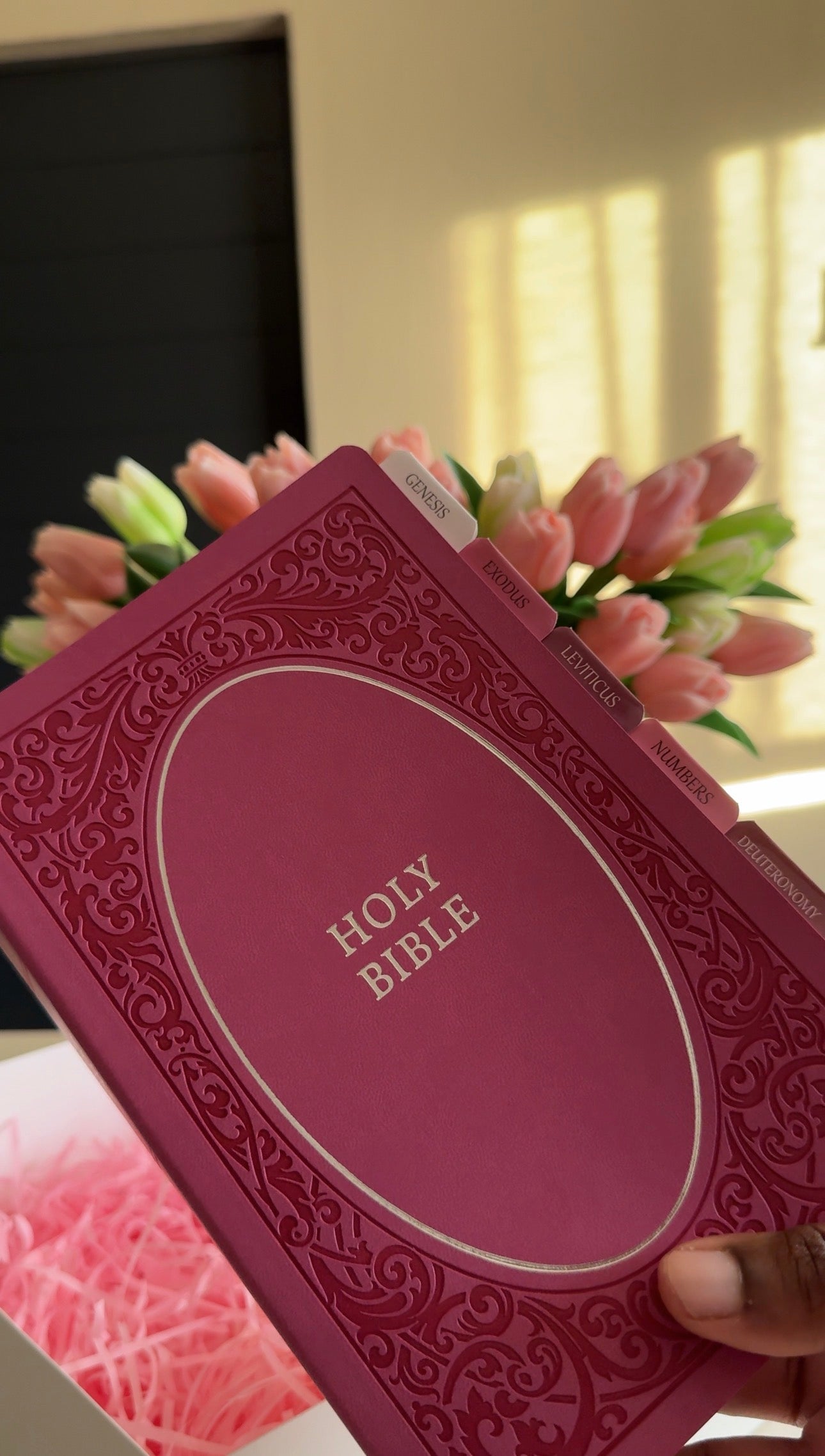 Pink Mini Bible Study Kit