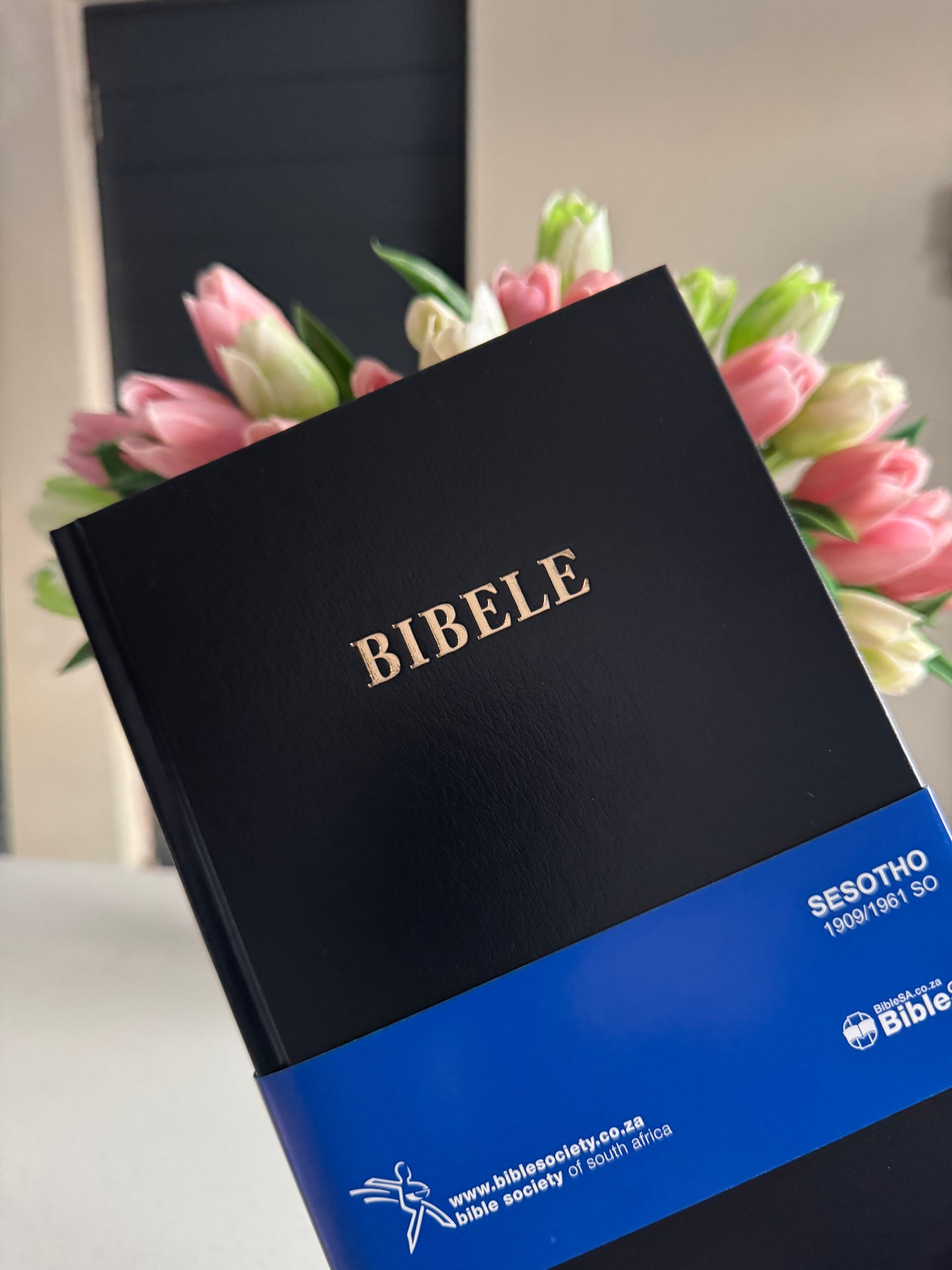 Xhosa/Zulu/Sesotho Bible Study Package