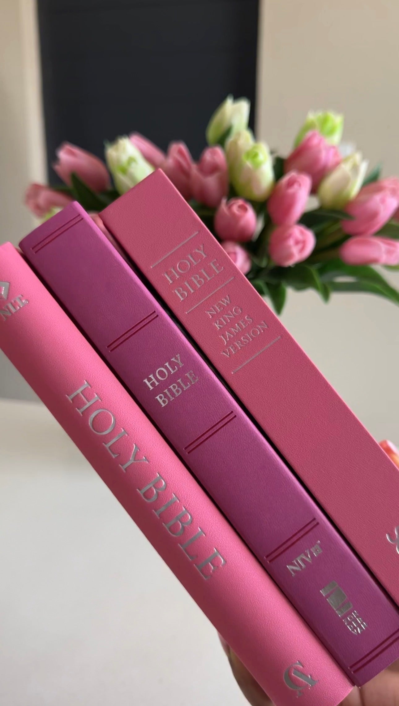 Pink Mini Bible Study Kit