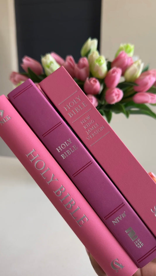 Pink Mini Bible Study Kit