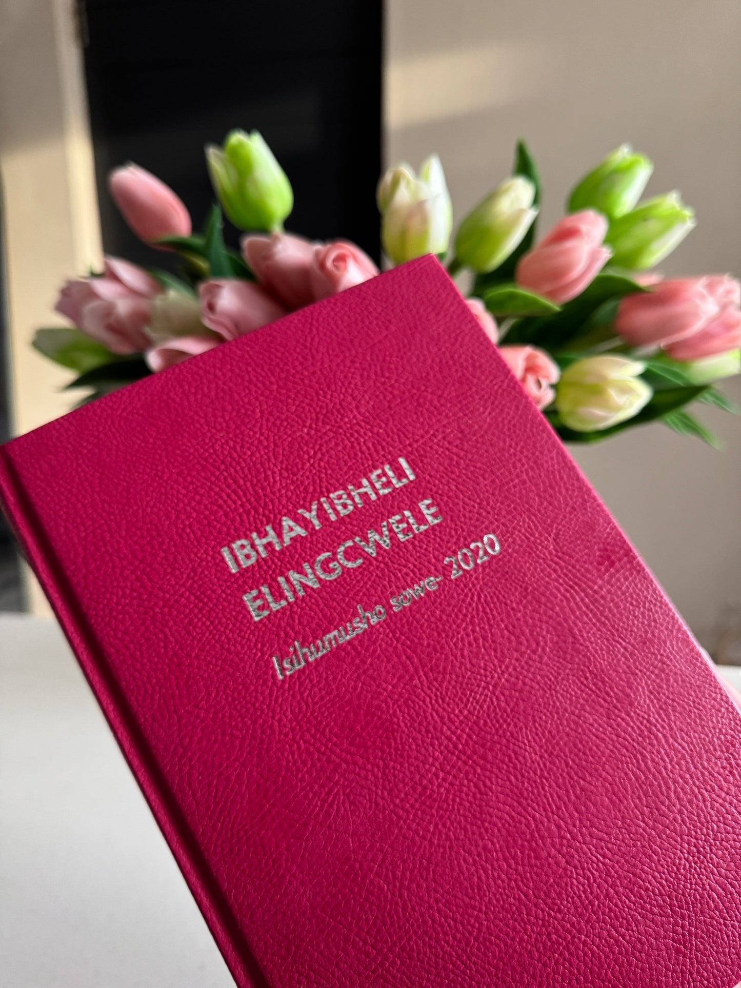 Xhosa/Zulu/Sesotho Bible Study Package
