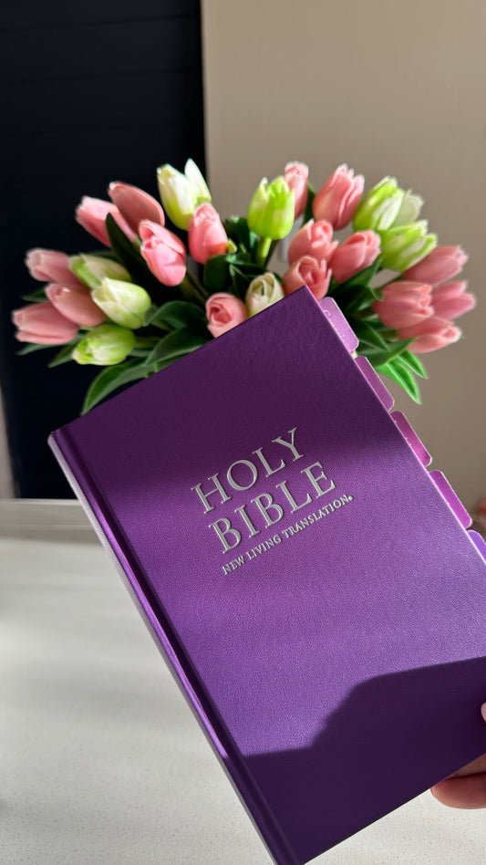 Purple Bible Study Kit
