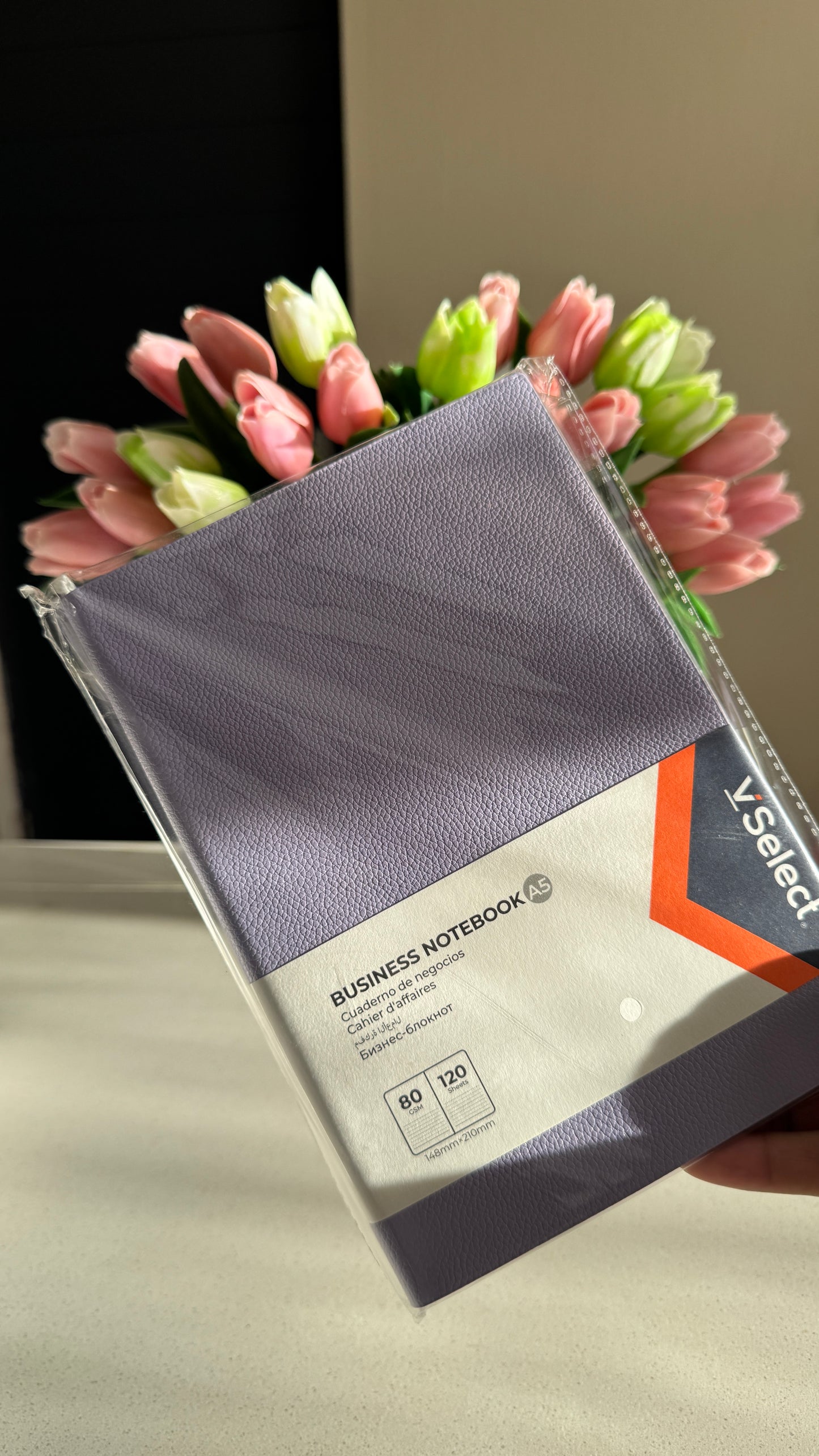 Purple Bible Study Kit