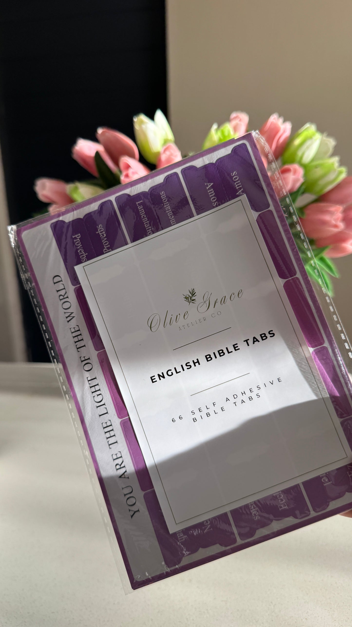 Purple Bible Study Kit