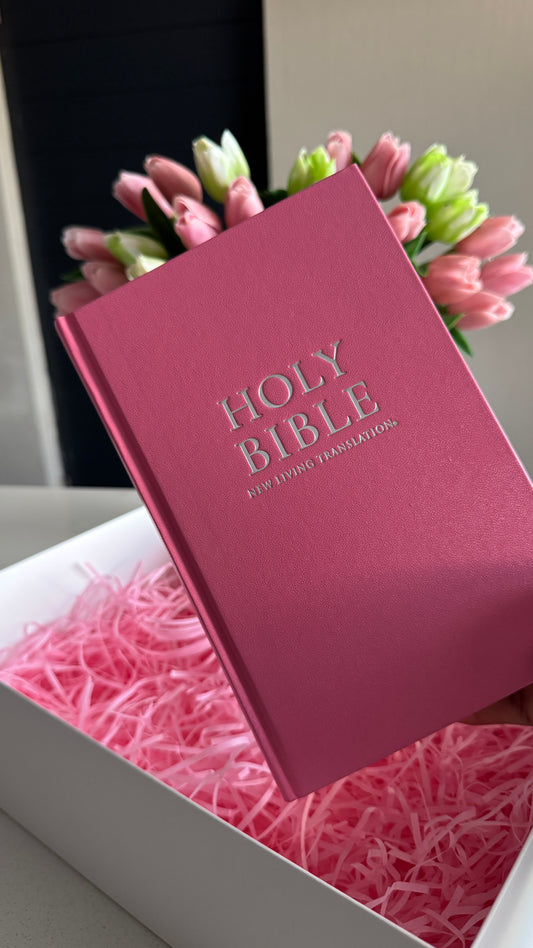 Pink Mini Bible Study Kit