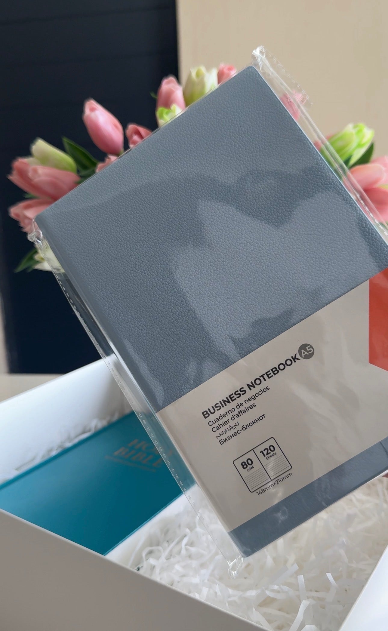 Blue Bible Study Package