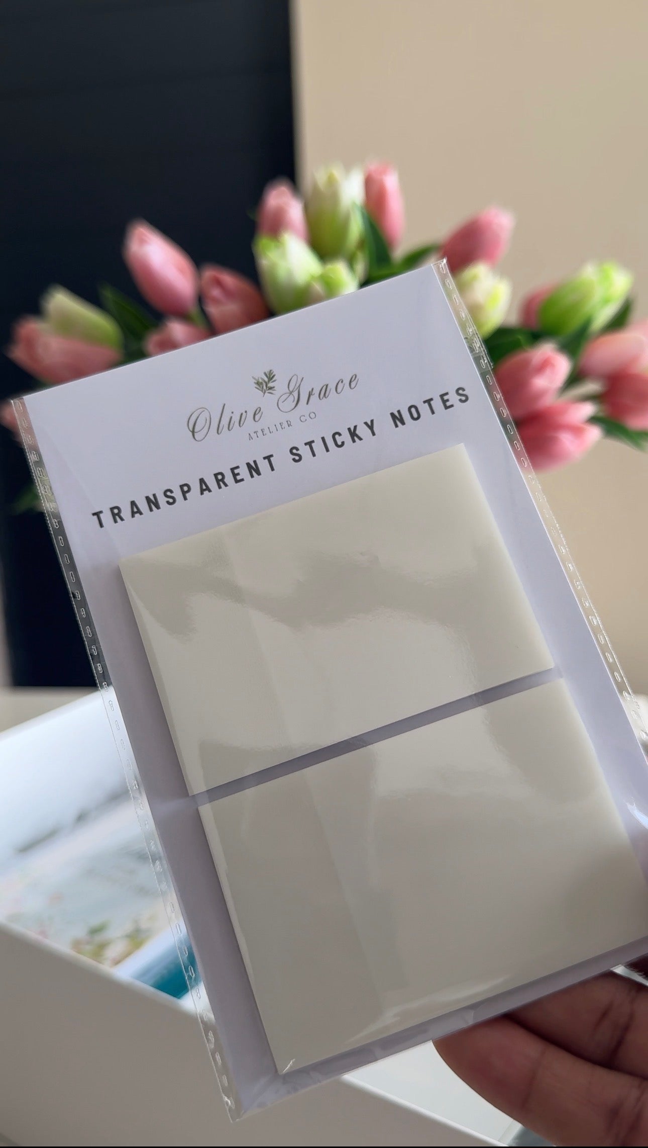 Blue Bible Study Package