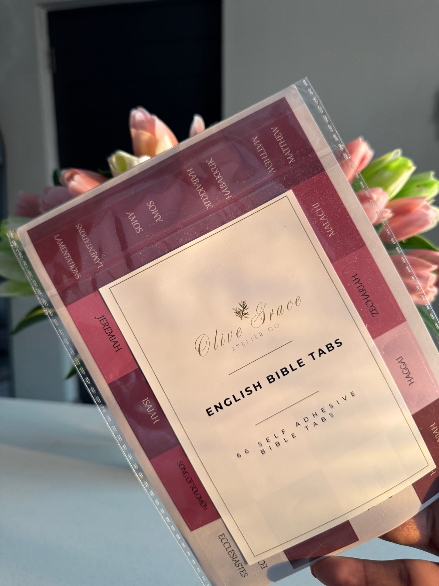 Pink Mini Bible Study Kit