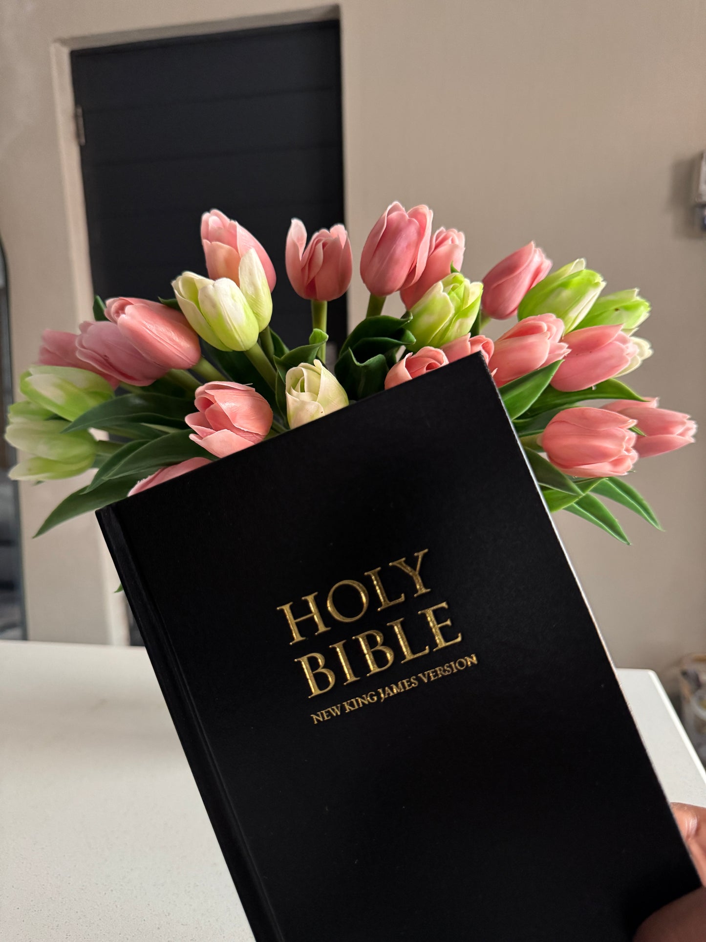 Black Bible Study Package