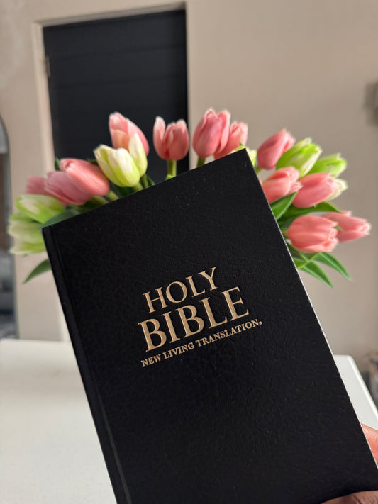 Black Bible Study Package