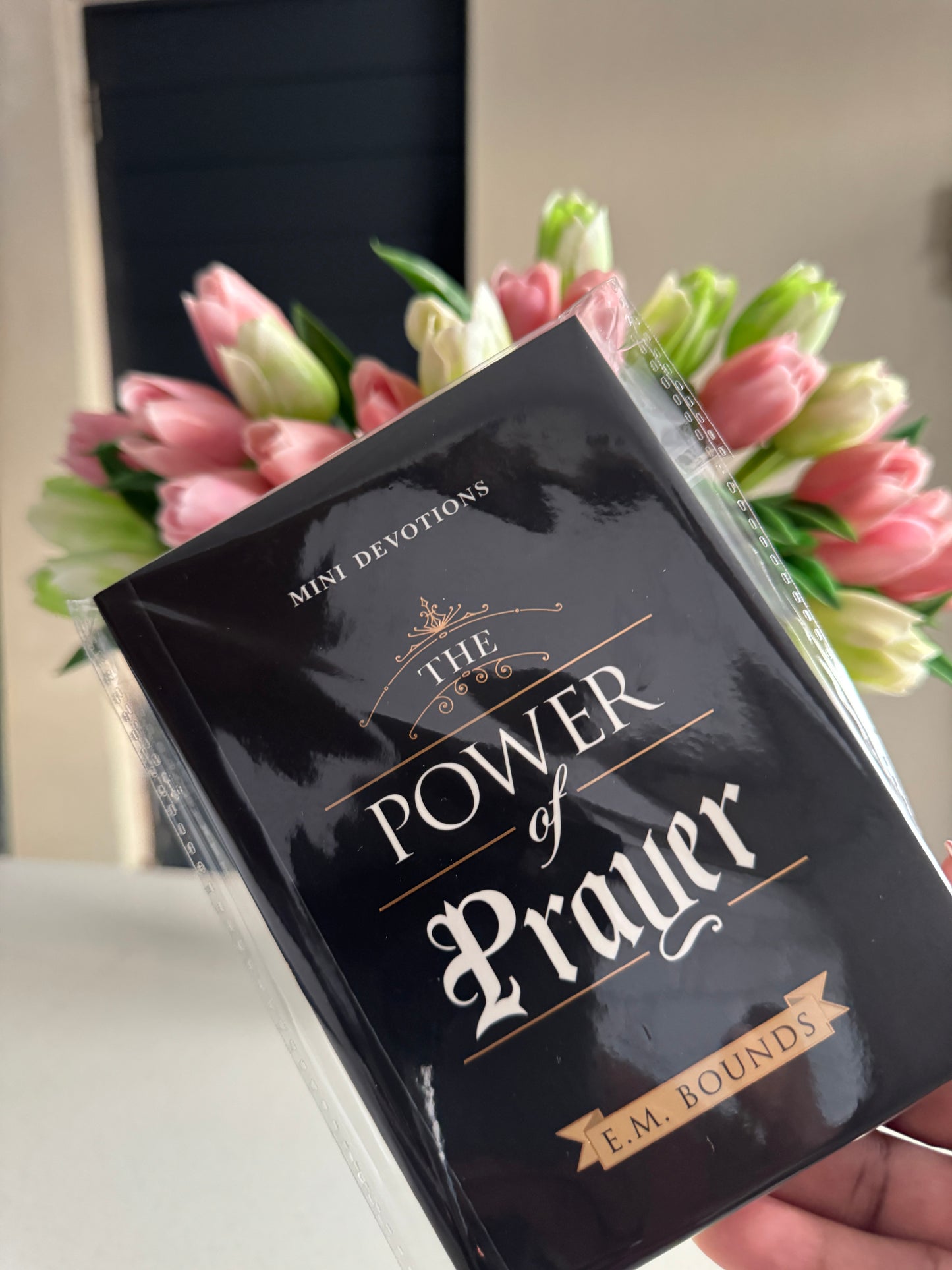 Bible Study Stationery Kit