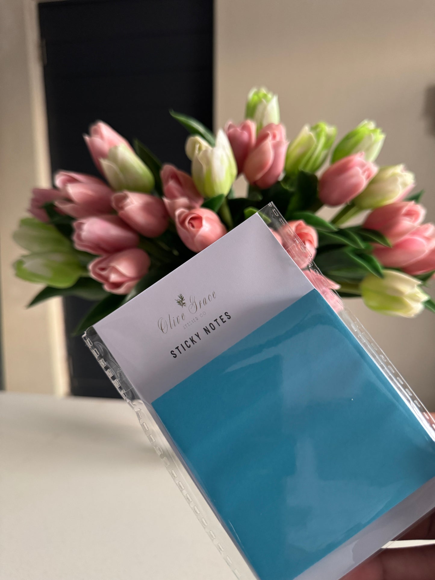 Xhosa/Zulu/Sesotho Bible Study Package