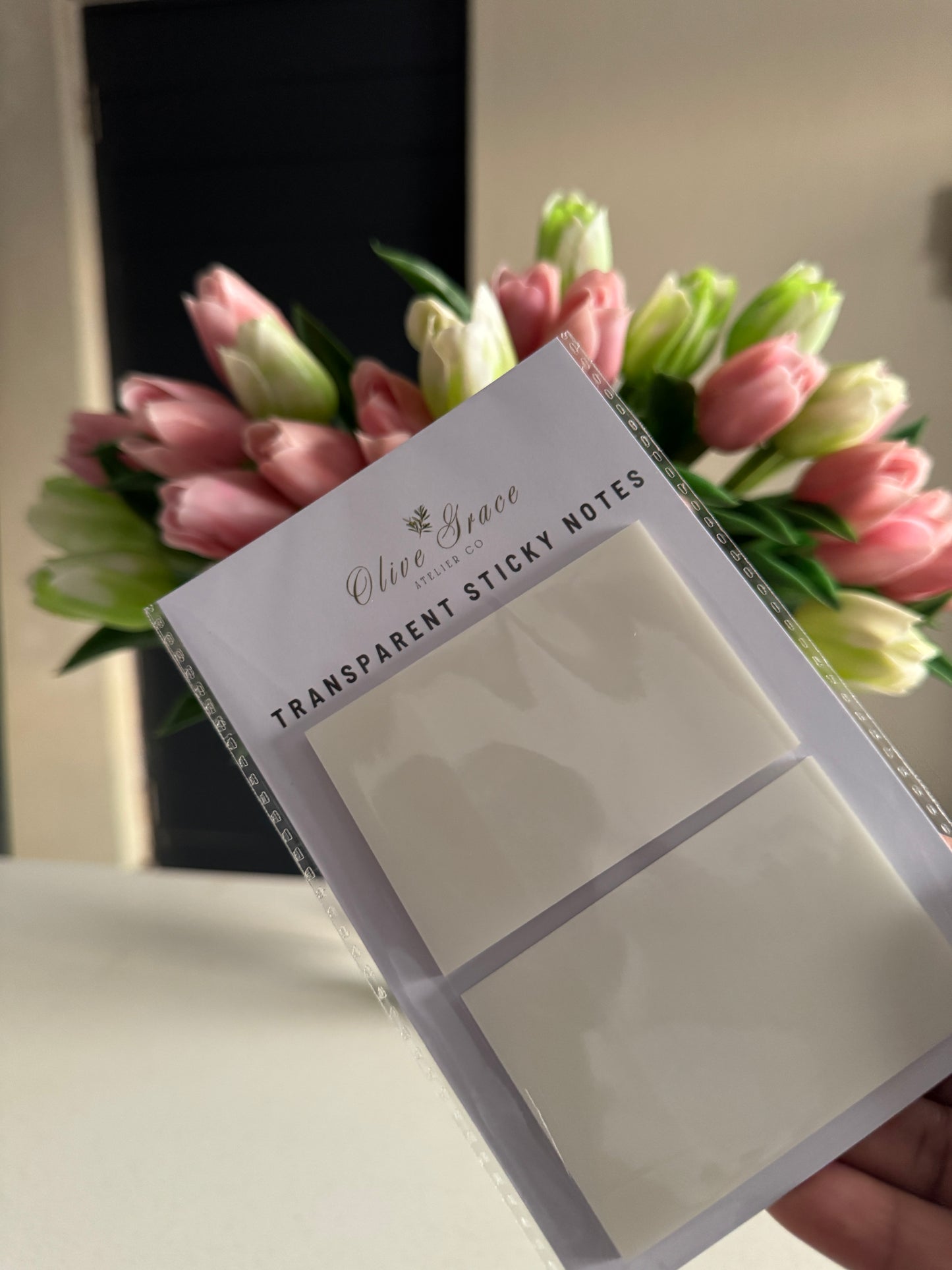 Black Bible Study Package