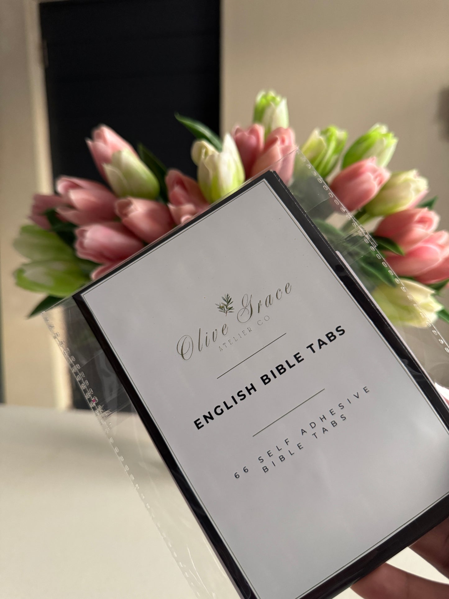 Xhosa/Zulu/Sesotho Bible Study Package