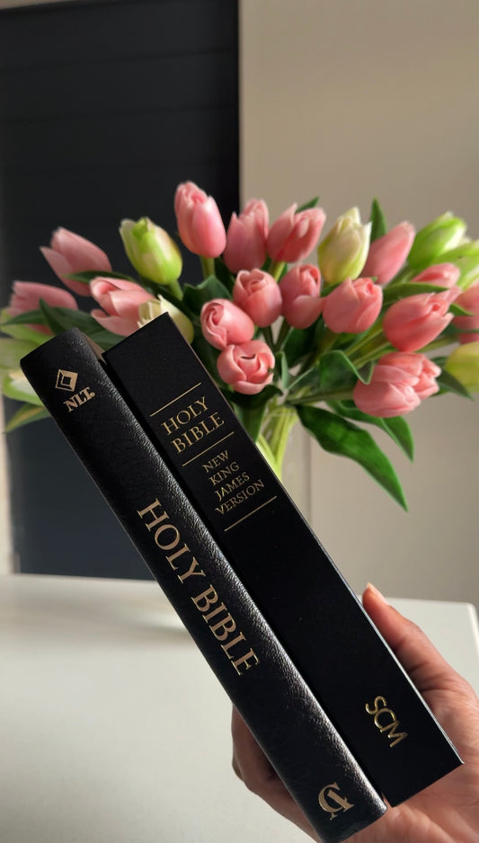 Black Bible Study Package